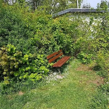 Buchengrund Holiday home *