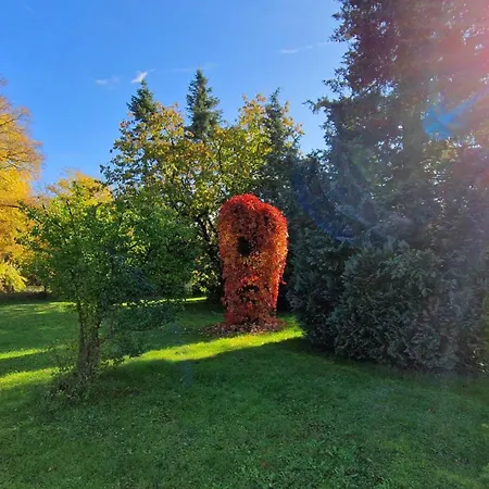 Holiday home Buchengrund *