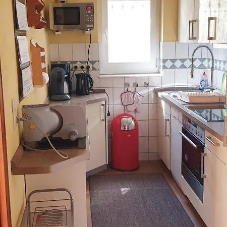 Buchengrund Mit Eigenem Beheizten Pool Und Gegenstromanlage * Sangerhausen