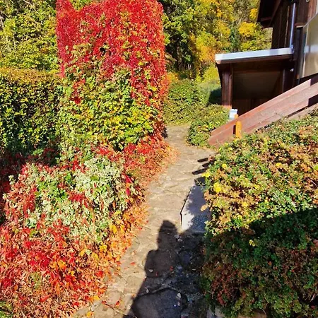 Holiday home Buchengrund *