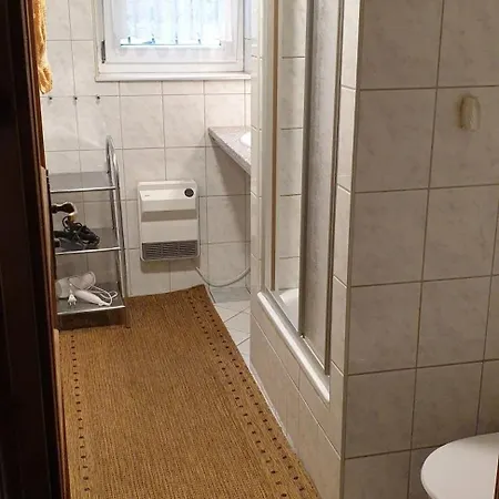 Holiday home Buchengrund Mit Eigenem Beheizten Pool Und Gegenstromanlage Sangerhausen