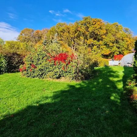 Buchengrund Mit Eigenem Beheizten Pool Und Gegenstromanlage * Sangerhausen