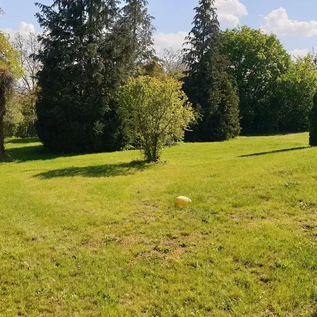 Buchengrund Mit Eigenem Beheizten Pool Und Gegenstromanlage