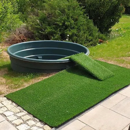 Buchengrund Mit Eigenem Beheizten Pool Und Gegenstromanlage Holiday home