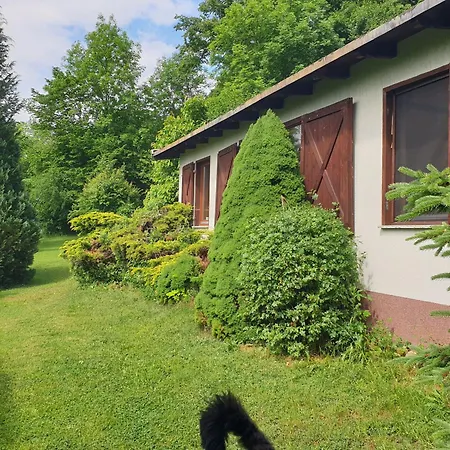 Buchengrund Mit Eigenem Beheizten Pool Und Gegenstromanlage Holiday home Sangerhausen